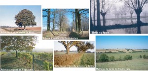 Des exemples variés de Paysages en Poitou-Charentes