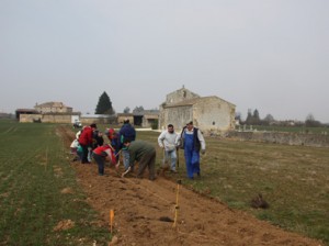 Photo plantation bénévoles