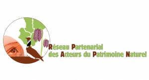logo RPAPN