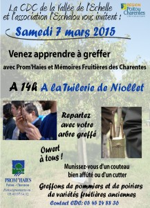 Greffage - Tuilerie de Niollet