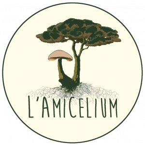 Logo L'Amicelium