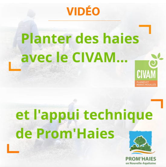 Vidéo Plantation CIVAM et Prom'Haies